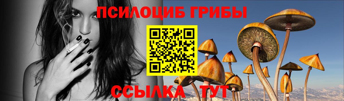 Азнакаево  Псилоцибиновые грибы прущие грибы  Вход с VPN 